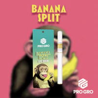 Banana Split 0.5g Live Rosin Disposable - product image at King of Budz
