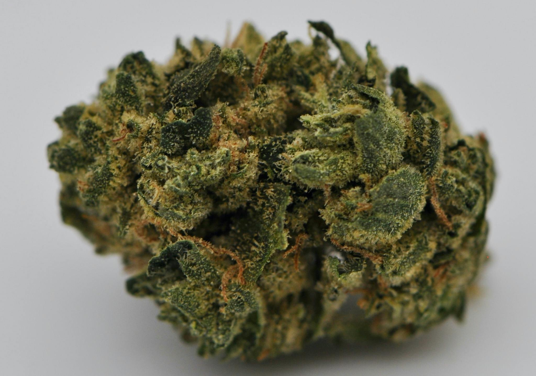 image of Oakland Piff | 3.5g Prepackaged Flower