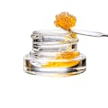 Grind House: XoLo - Rosin