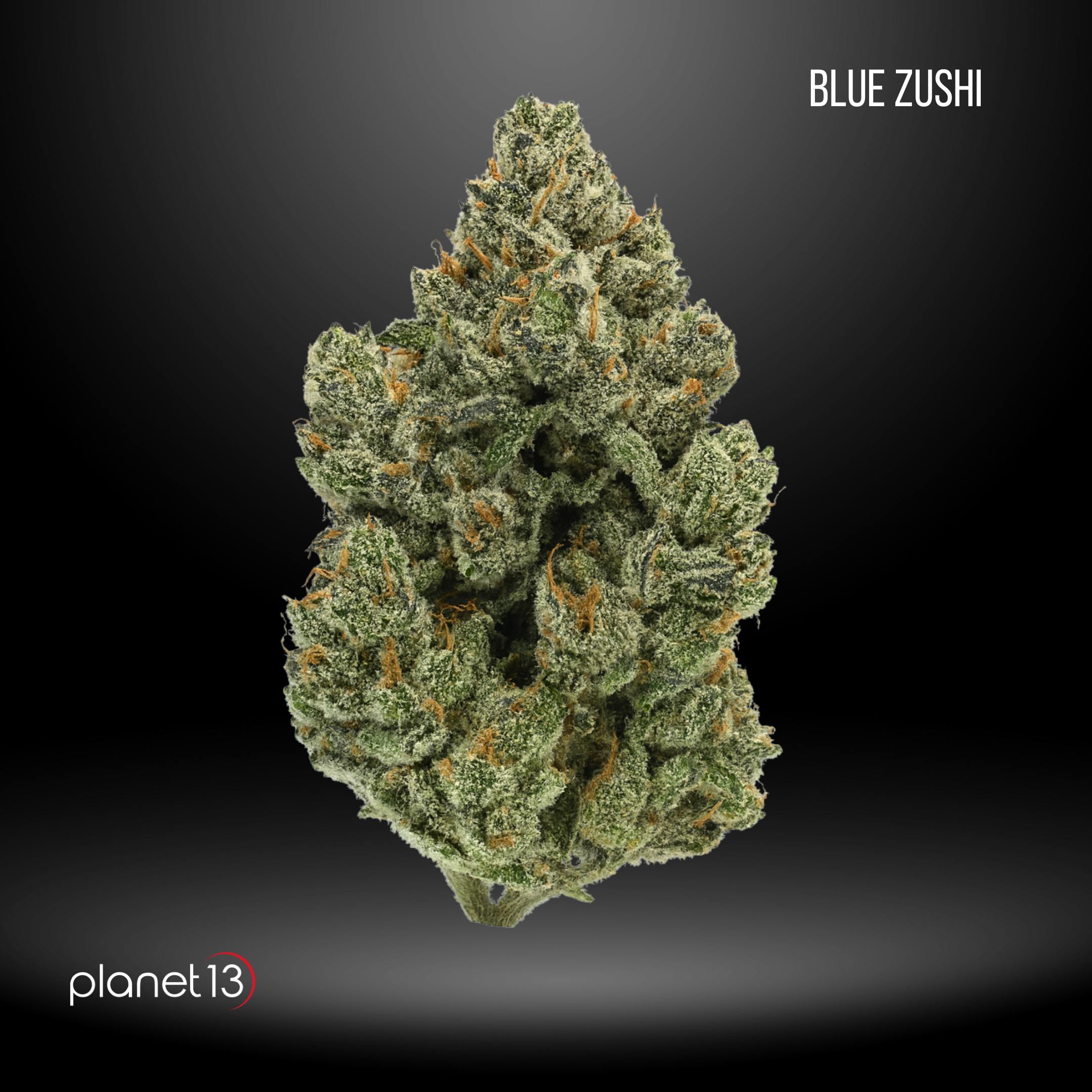 Cannabis Flower | Planet 13 FL - Port Richey