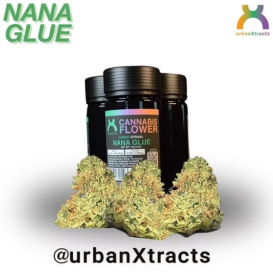 UrbanXtracts | Nana Glue | 14g