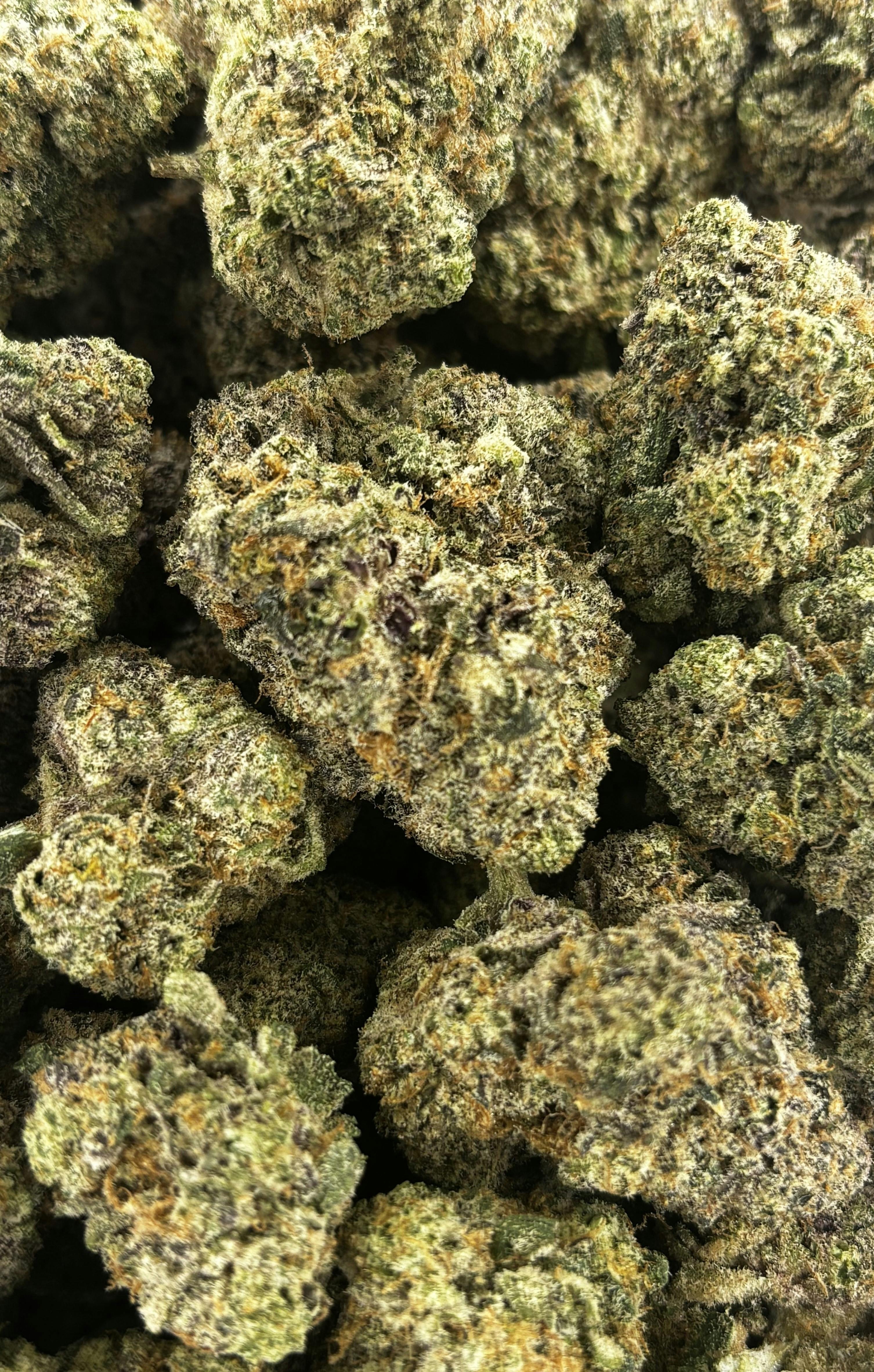 Seed Junky | Pink Panther | Deli Flower