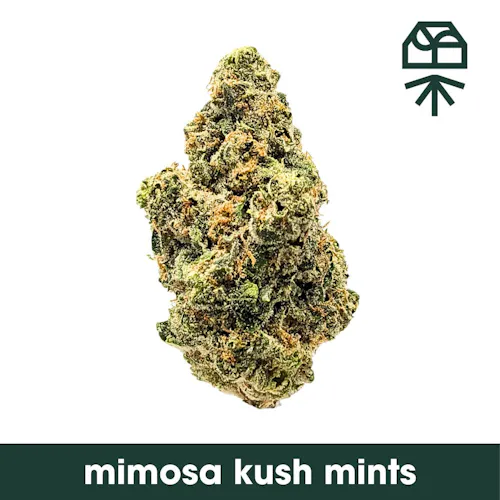 CLF- Grassroots | Smalls | Mimosa Kush Mints-active