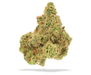 Product: BOGO | Apothecare | Certified Organic Jack Herer | 3.5g