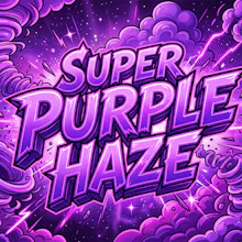 DELI - Pro Gro - Super Purple Haze - FLOWER by Pro Gro at King of Budz