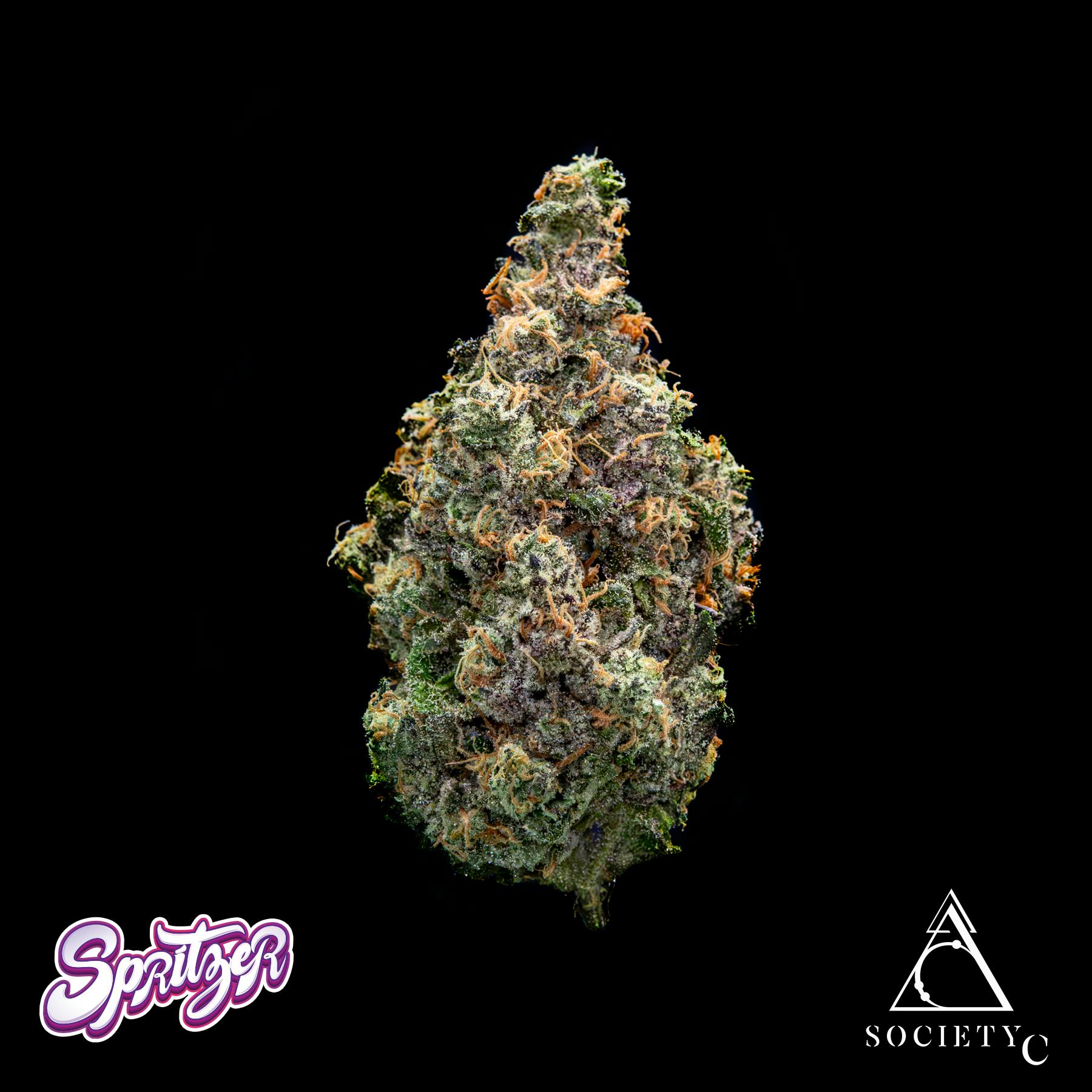 Product: Society C | Bulk Bud - Spritzer