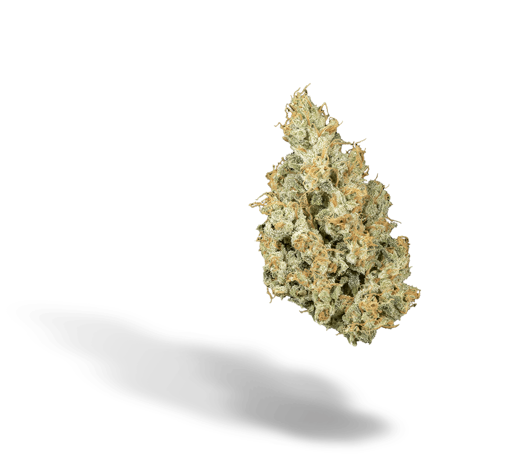 Photo of Bountiful Farms Zweet Inzanity – Small Buds 14g