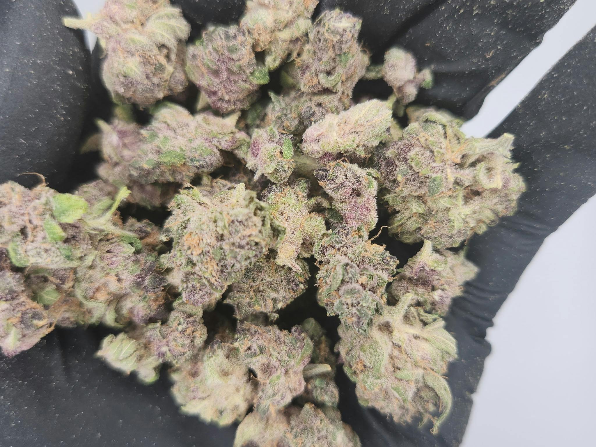 Product: Bud & Mary's | Bulk Bud - Ultra Boof