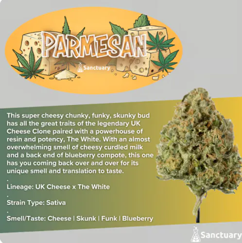 Parmesan-active