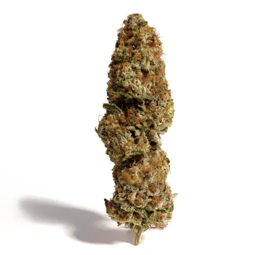 Brighterside | PreRoll | Forbidden Zkittles| 1g-1