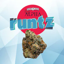 Local Grove Deli Style Flower | Alpha Runtz - FLOWER by LOCALGROVE at King of Budz