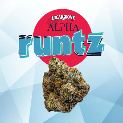 Local Grove Deli Style Flower | Alpha Runtz - FLOWER by LOCALGROVE at King of Budz