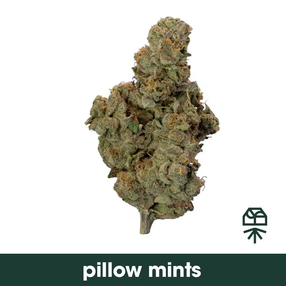 Grassroots Pillow Mints 28g Flower