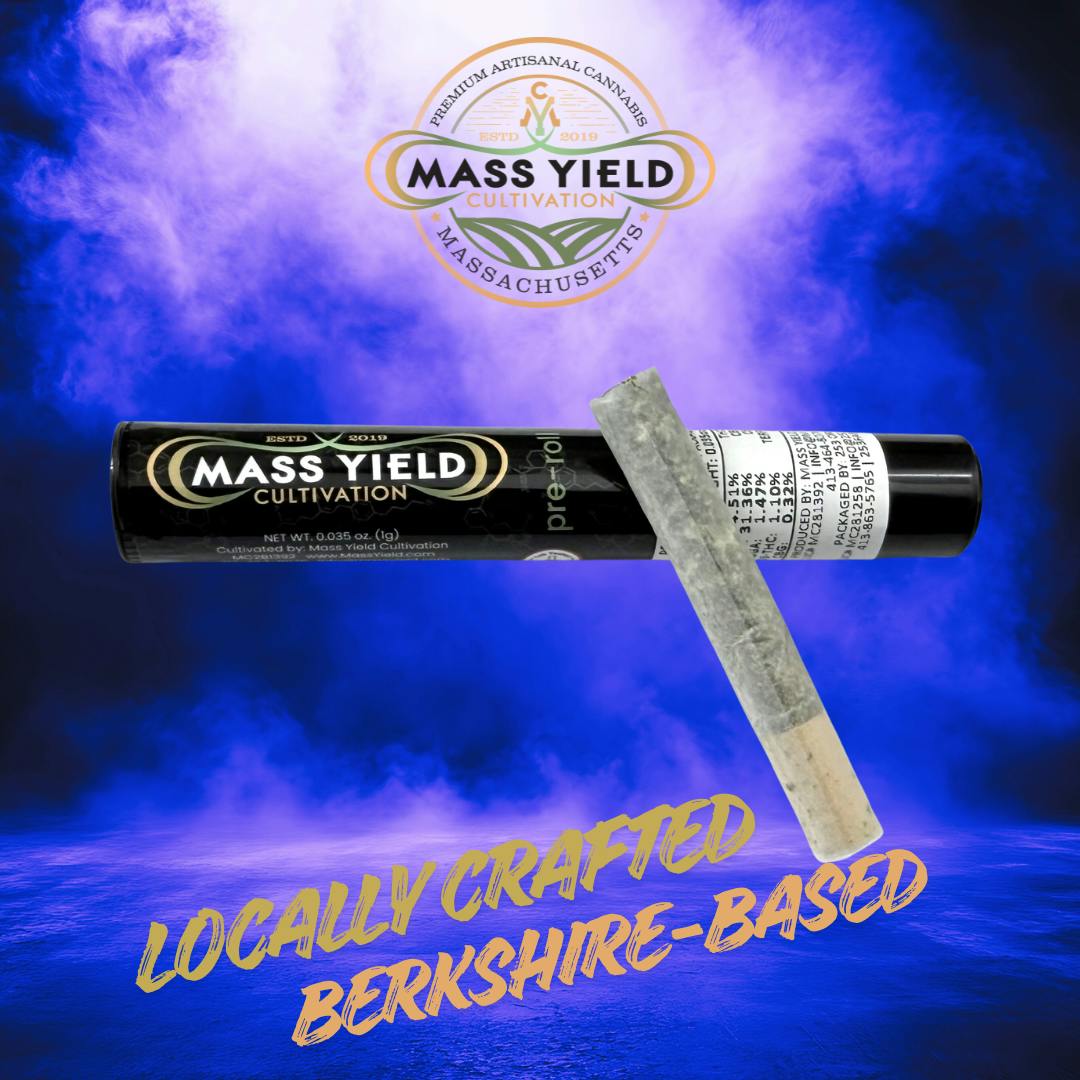 Mass Yield | Mycotek Tarmac (I)