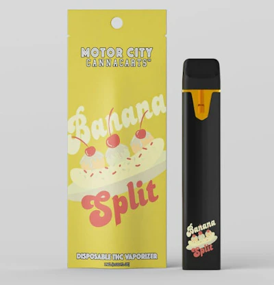 MCC - 1g Disposable - Banana Split (H)