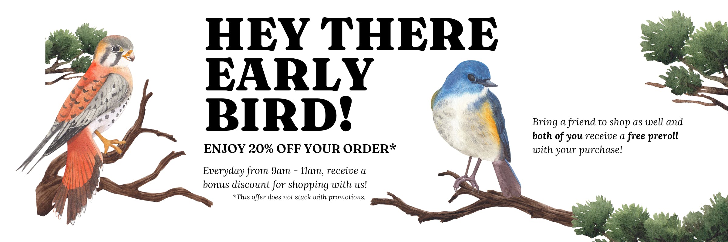 Early Bird Special - 20% off your order before 11am!