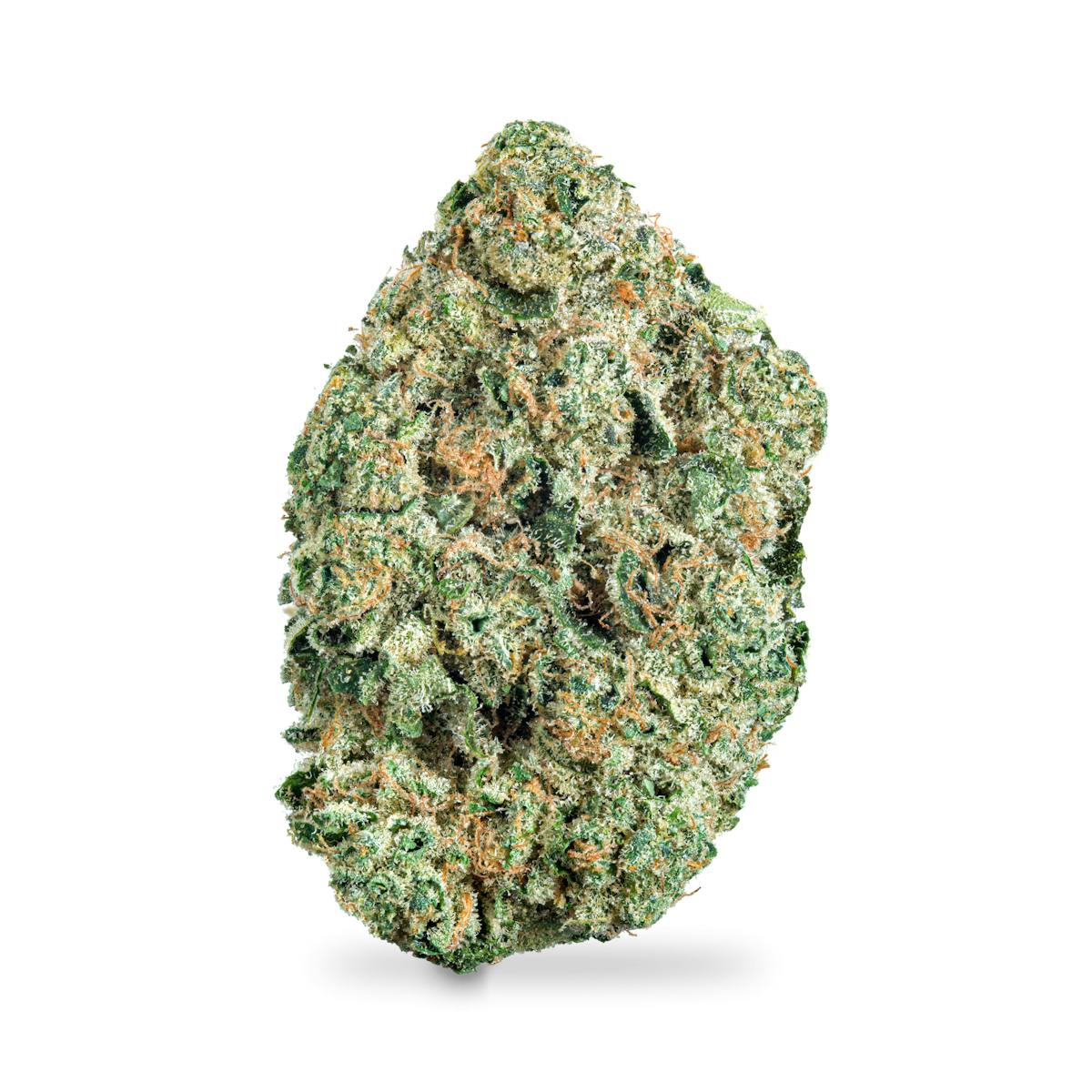 Photo of West Coast Toad Pre-Pack