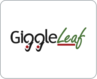logo for Giggle Leaf
