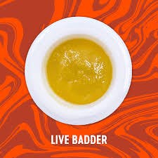 Vivid 1g -