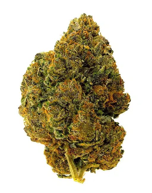 Country Cannabis | Lemon Cherry Gelato | 3.5g (Outdoor Flower)