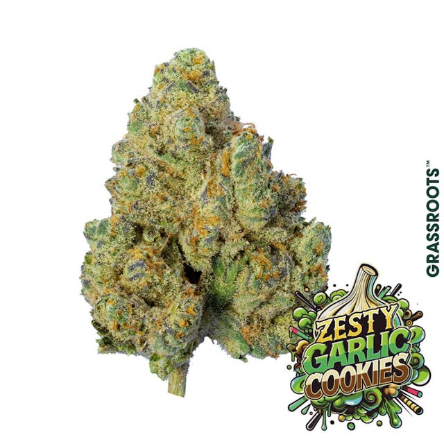 Zesty Garlic Cookies (I) - 7g Popcorn Flower - Grassroots - Image 2