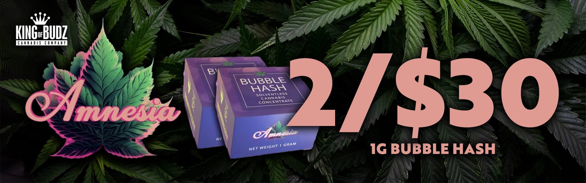 2 FOR $30 AMNESIA 1G BUBBLE HASH