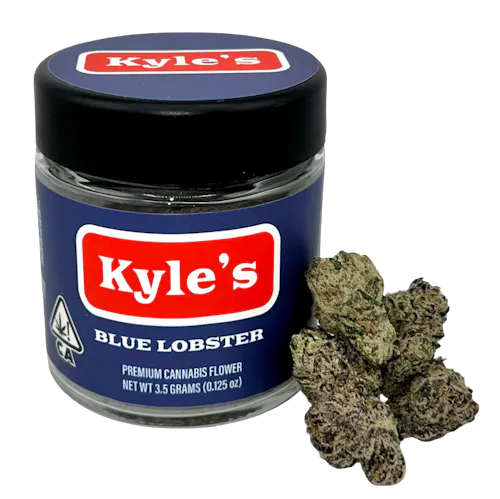 Kyles H Blue Lobster-1