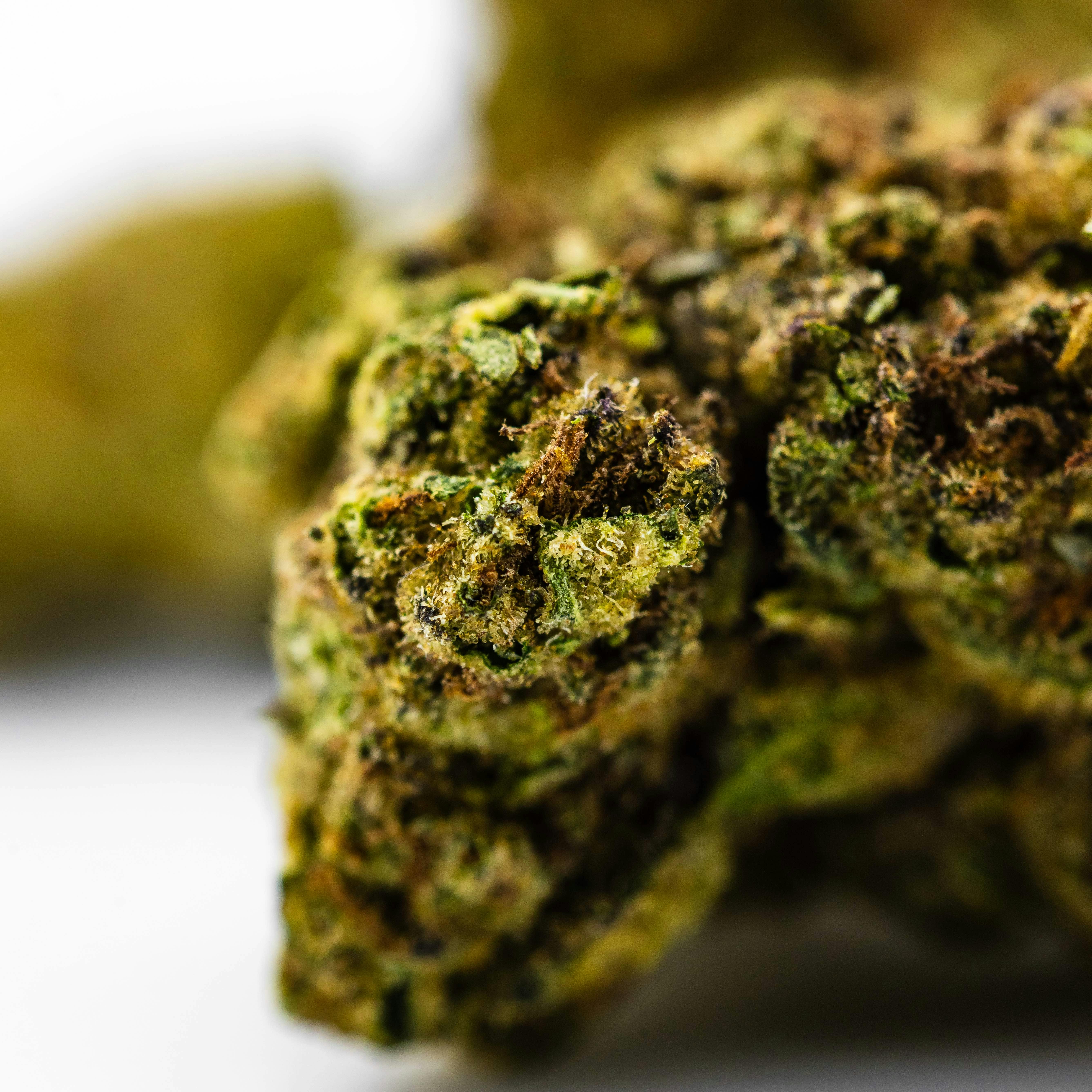 MALIBU OG (28 GRAMS)-2