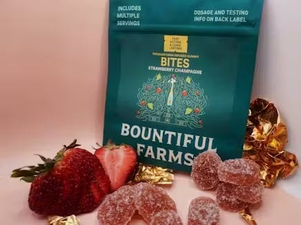 Strawberry Champagne | Fruit Chew | 10 Pack (25mg)