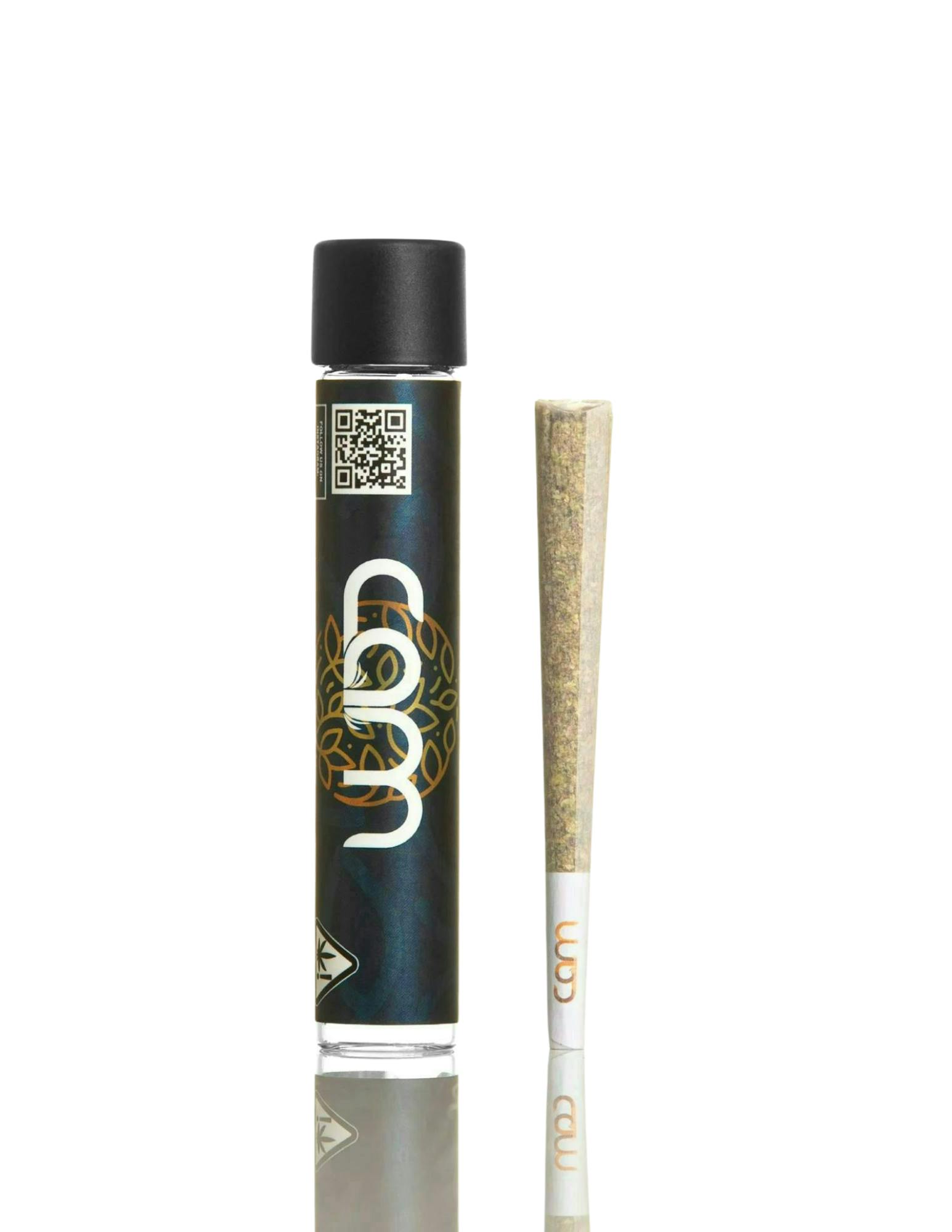 CAM - Bubba's Girl Preroll at Silk Road NYC, Jamaica Queens