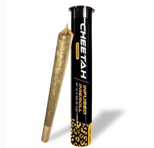 Cheetah Pre-Roll