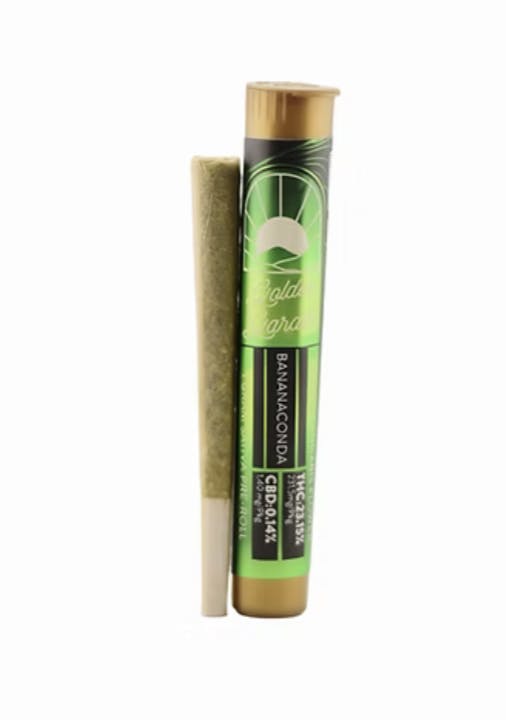 Golden Garden | Bananaconda Pre-Roll