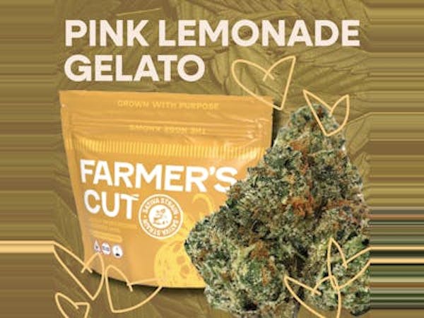 Pink Lemonade Gelato (S) - 3.5g - Farmer's Cut