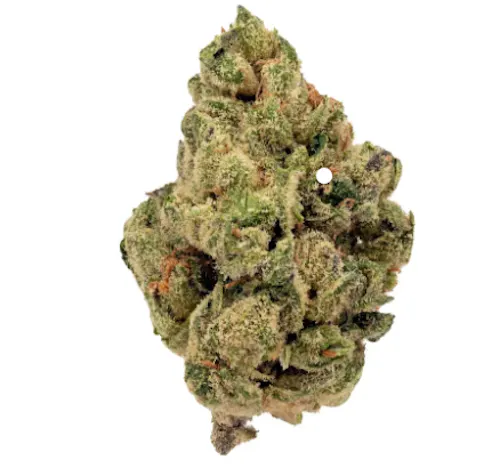 Rolling Green | Flower | Black Scotti | 3.5g-1