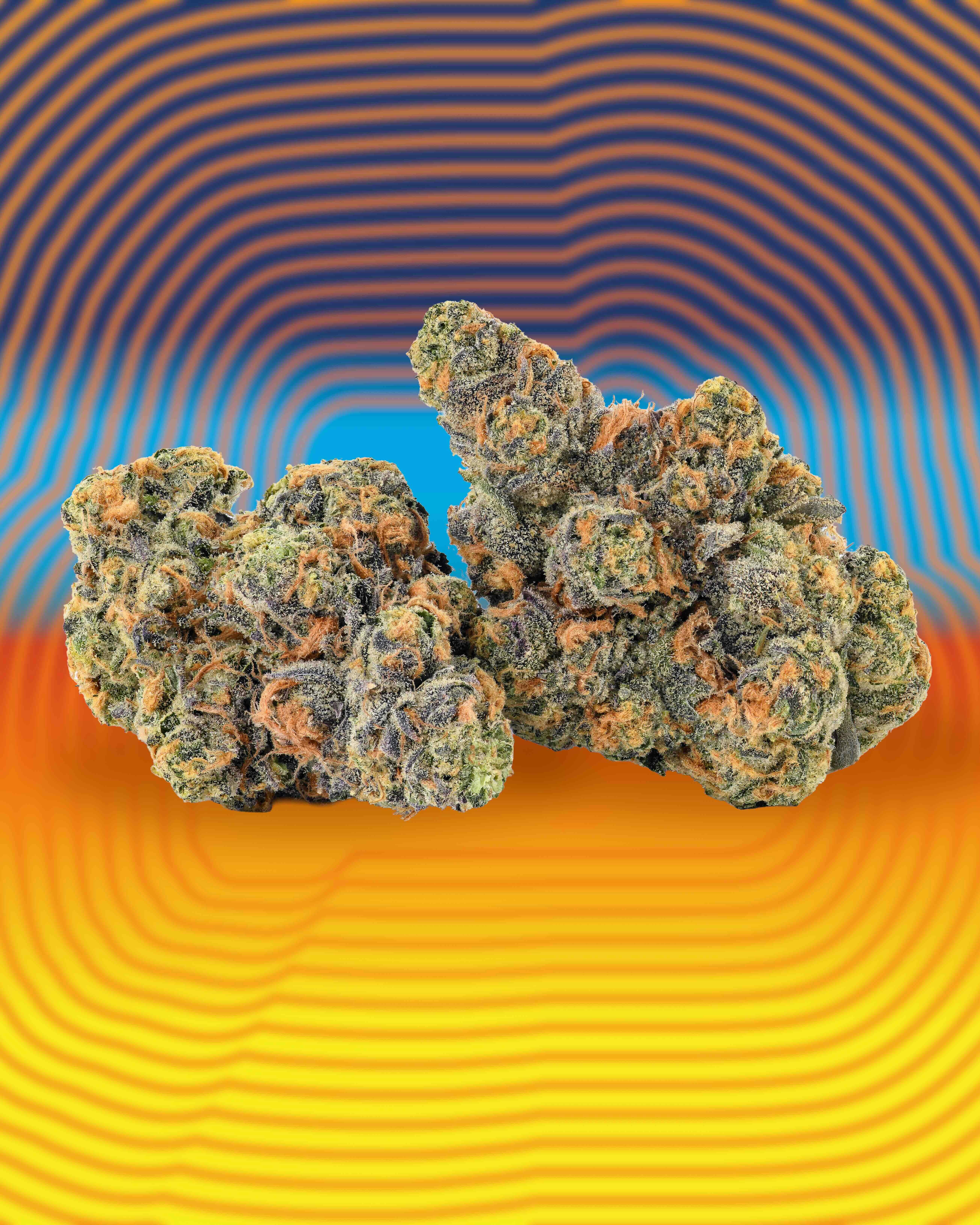 Product: Cookies | Bulk Bud - Fried Bananas