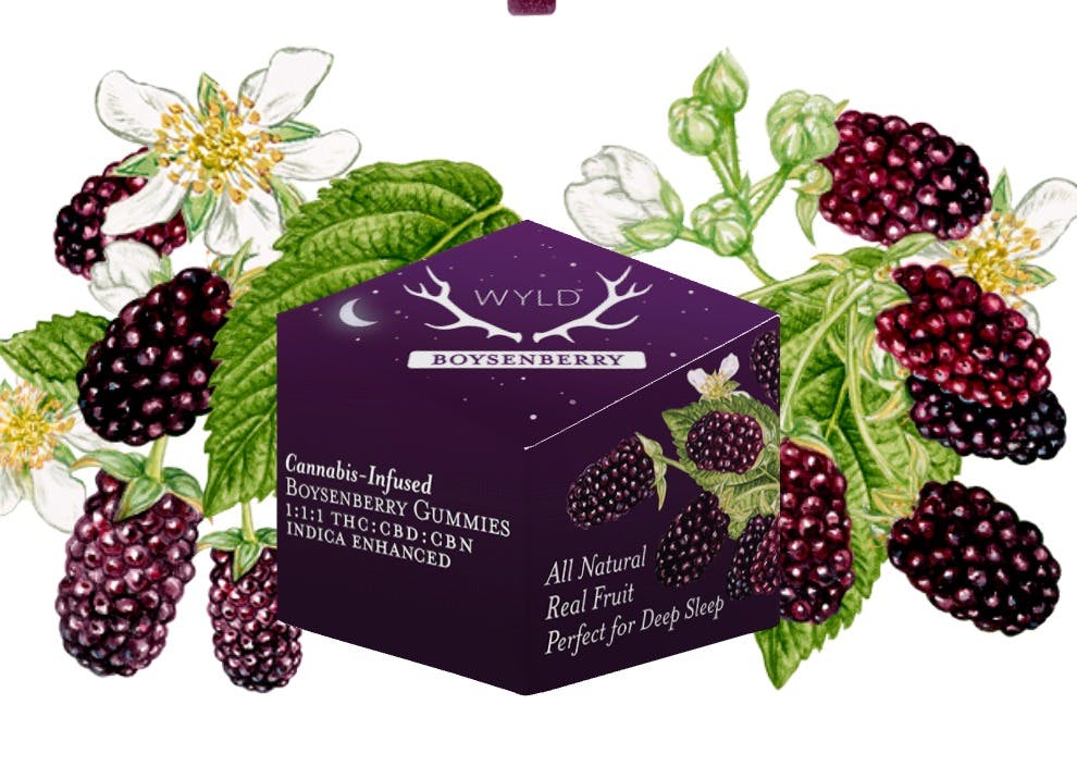 Wyld | THC:CBD:CBN Boysenberry Indica Gummies