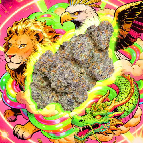 Ravioli – Pink Ravioli – 3.5g-1