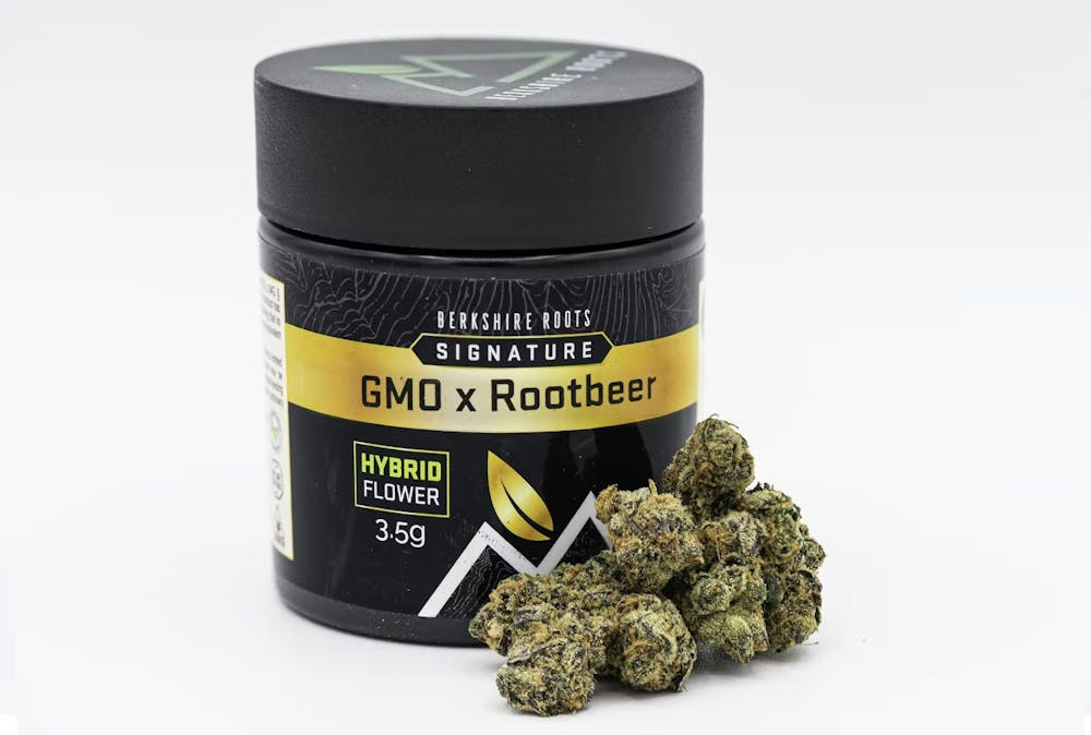 Product GMO x Rootbeer (H) | Flower | 28g