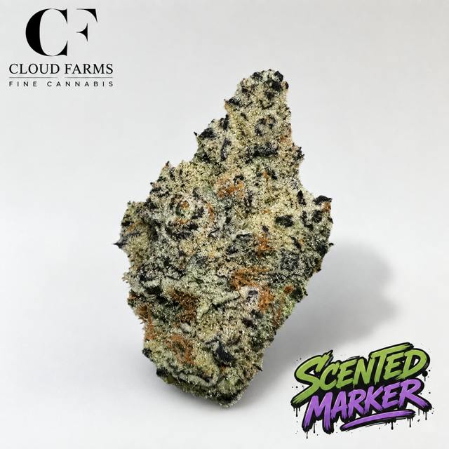 Cloud Farms | Bulk Bud - Scented Marker