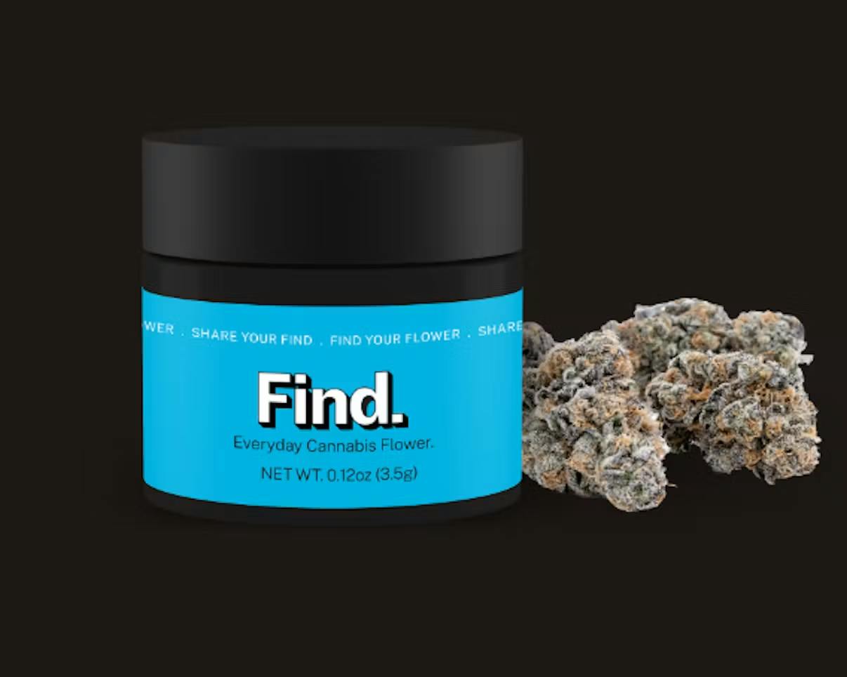 Find. Island Bloom