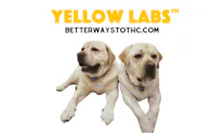 Yellow Labs Logo
