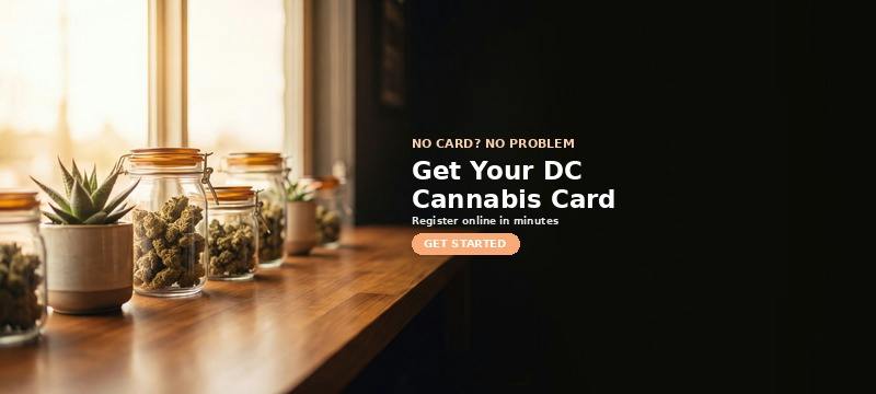 Get your DC medical cannabis card — register online in minutes with Green Legacy DC, residents and visitors welcome
