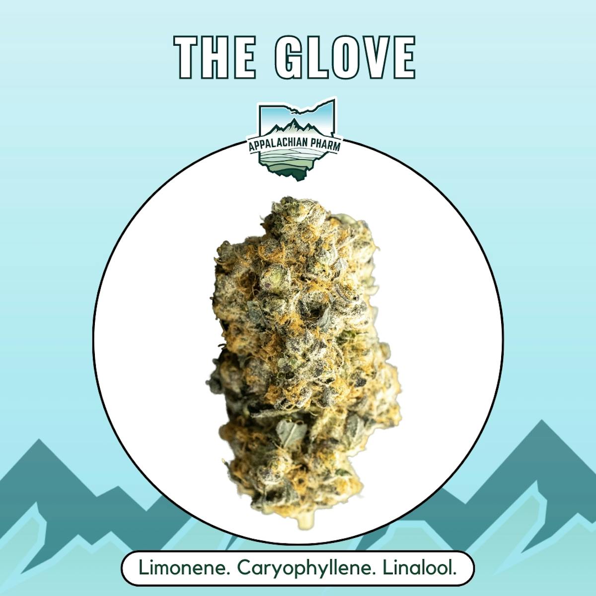 Photo of The Glove Small Buds