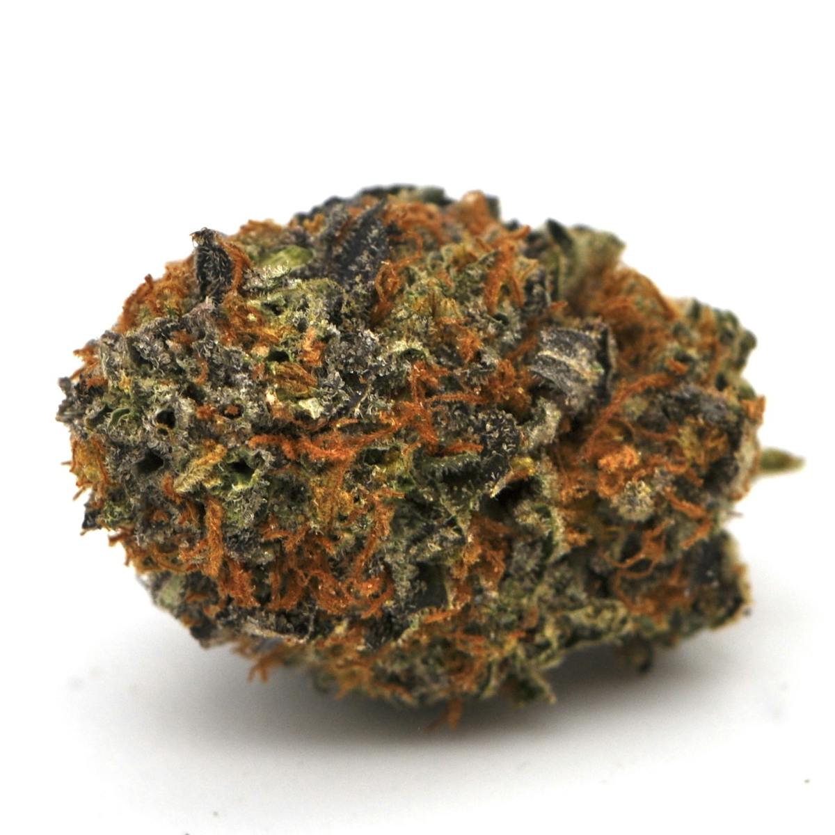 Image of Rainbow Sherbert #11 | 3.5g Prepackaged Flower
