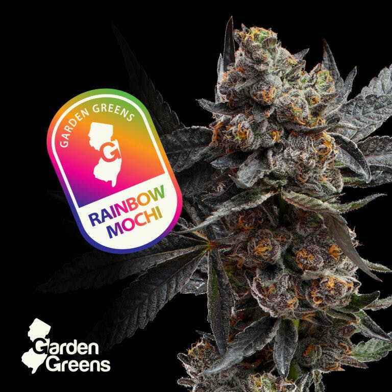 Garden Greens - Rainbow Mochi