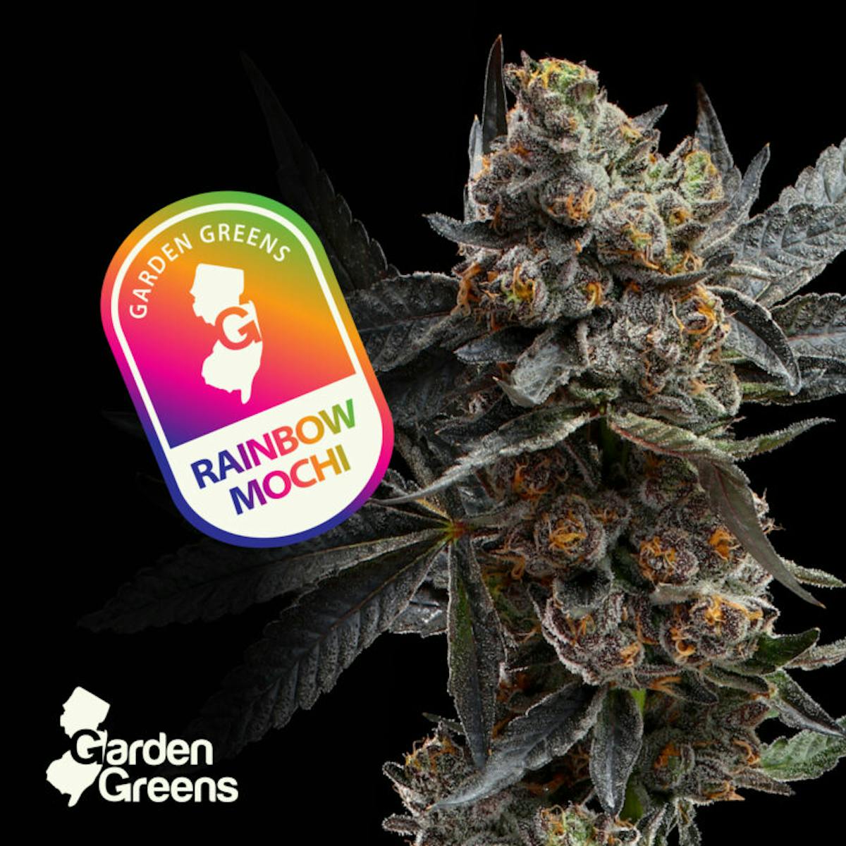 Photo of GG Rainbow Mochi 3.5g