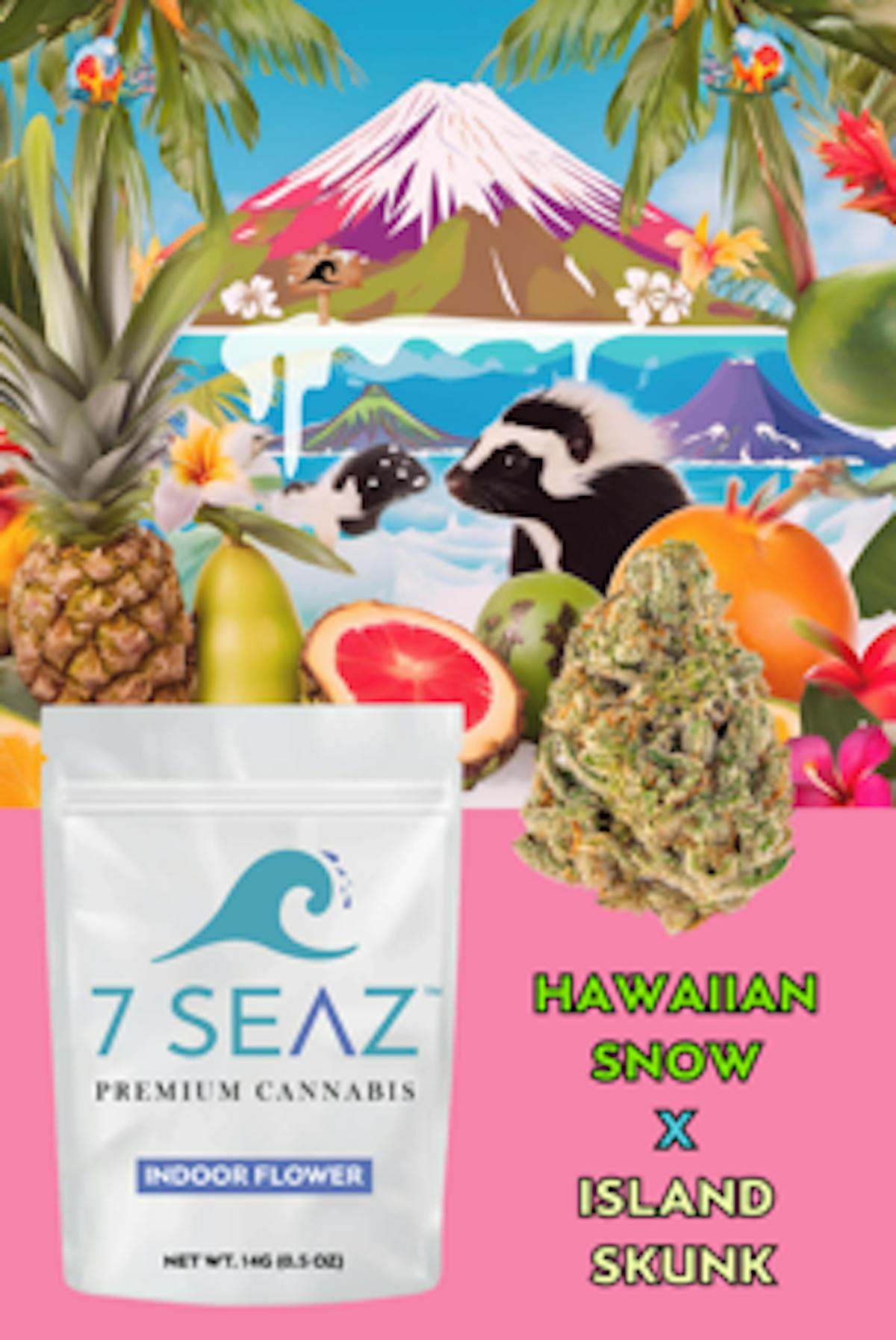 Photo of 7 Seaz – Hawaiian Snow x Island Skunk – (Half)