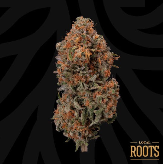 Blueberry Hashplant [14g]