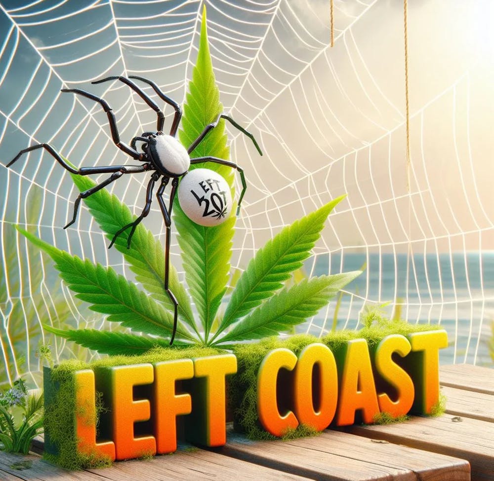Product White Widow  (H) Left Coast