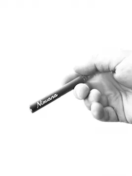 Vaporizers category image